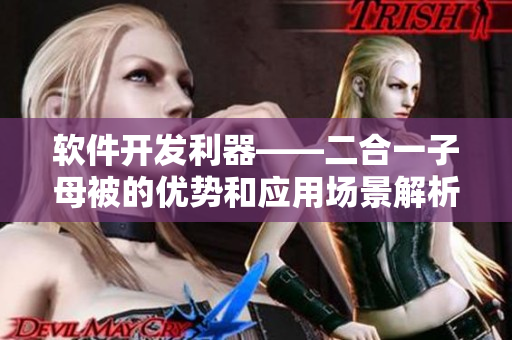 軟件開發(fā)利器——二合一子母被的優(yōu)勢和應用場景解析