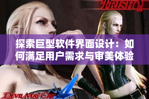 探索巨型軟件界面設計：如何滿足用戶需求與審美體驗？