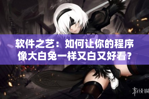軟件之藝：如何讓你的程序像大白兔一樣又白又好看？