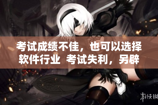 考試成績不佳，也可以選擇軟件行業(yè)  考試失利，另辟蹊徑進(jìn)入軟件領(lǐng)域