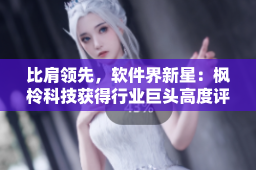 比肩領(lǐng)先，軟件界新星：楓柃科技獲得行業(yè)巨頭高度評價