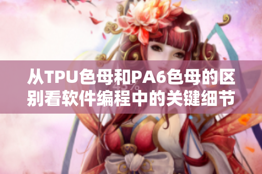 從TPU色母和PA6色母的區(qū)別看軟件編程中的關(guān)鍵細(xì)節(jié)