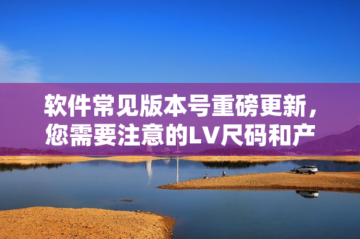 軟件常見版本號重磅更新，您需要注意的LV尺碼和產(chǎn)品編號是什么？
