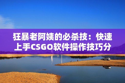 狂暴老阿姨的必殺技：快速上手CSGO軟件操作技巧分享