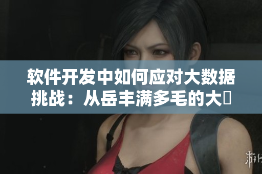 軟件開發(fā)中如何應(yīng)對(duì)大數(shù)據(jù)挑戰(zhàn)：從岳豐滿多毛的大隂戶中獲得啟發(fā)