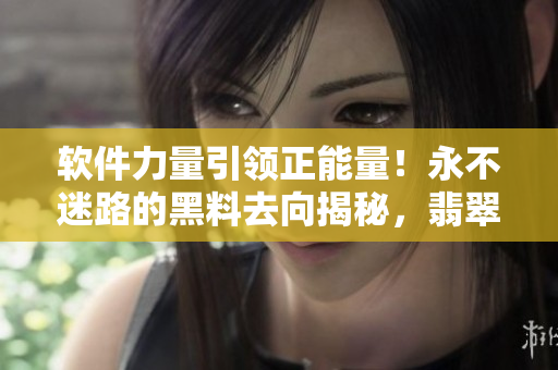 軟件力量引領正能量！永不迷路的黑料去向揭秘，翡翠手鐲全程可追溯