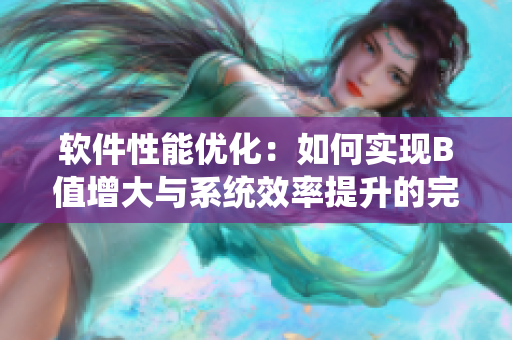 軟件性能優(yōu)化：如何實(shí)現(xiàn)B值增大與系統(tǒng)效率提升的完美平衡？