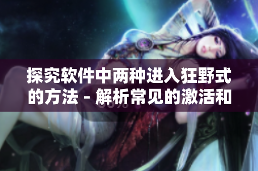 探究軟件中兩種進入狂野式的方法 - 解析常見的激活和破解手段