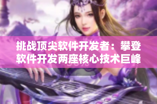 挑戰(zhàn)頂尖軟件開發(fā)者：攀登軟件開發(fā)兩座核心技術(shù)巨峰