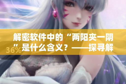 解密軟件中的“兩陽夾一陰”是什么含義？——探尋解密軟件中的關鍵術語