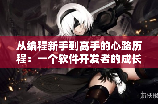 從編程新手到高手的心路歷程：一個(gè)軟件開(kāi)發(fā)者的成長(zhǎng)故事