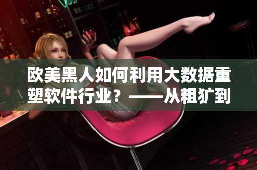 歐美黑人如何利用大數(shù)據(jù)重塑軟件行業(yè)？——從粗獷到智慧的轉(zhuǎn)變