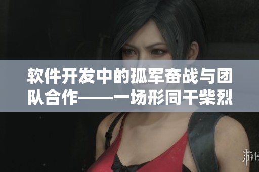 軟件開(kāi)發(fā)中的孤軍奮戰(zhàn)與團(tuán)隊(duì)合作——一場(chǎng)形同干柴烈火的閃電戰(zhàn)
