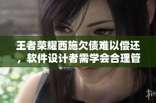 王者榮耀西施欠債難以償還，軟件設(shè)計者需學(xué)會合理管理資金