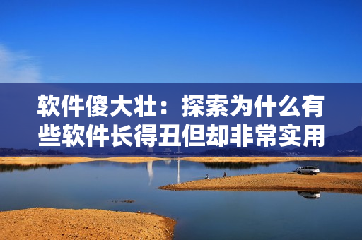 軟件傻大壯：探索為什么有些軟件長(zhǎng)得丑但卻非常實(shí)用