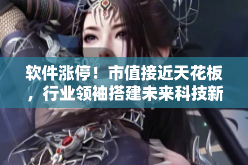 軟件漲停！市值接近天花板，行業(yè)領袖搭建未來科技新平臺。