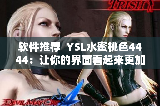 軟件推薦  YSL水蜜桃色4444：讓你的界面看起來更加優(yōu)美
