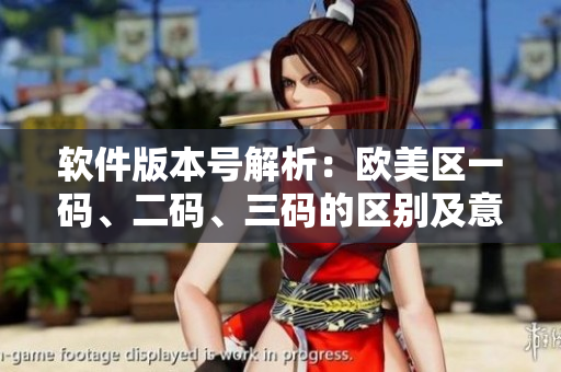 軟件版本號解析：歐美區(qū)一碼、二碼、三碼的區(qū)別及意義
