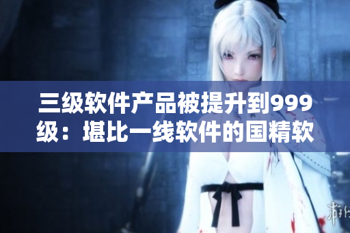 三級軟件產品被提升到999級：堪比一線軟件的國精軟件問世！