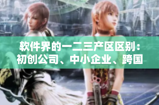 軟件界的一二三產(chǎn)區(qū)區(qū)別：初創(chuàng)公司、中小企業(yè)、跨國公司