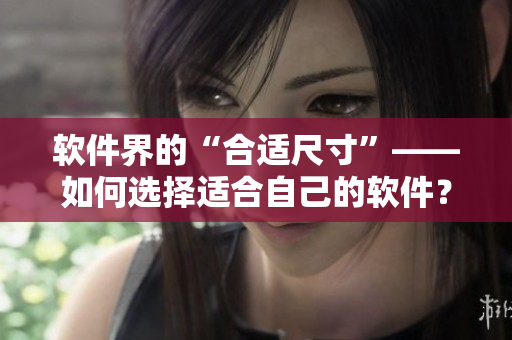 軟件界的“合適尺寸”——如何選擇適合自己的軟件？