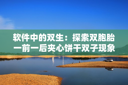 軟件中的雙生：探索雙胞胎一前一后夾心餅干雙子現(xiàn)象