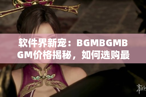 軟件界新寵：BGMBGMBGM價(jià)格揭秘，如何選購最合適的軟件工具？