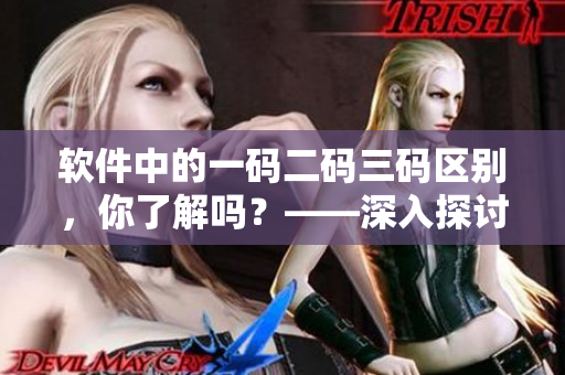 軟件中的一碼二碼三碼區(qū)別，你了解嗎？——深入探討軟件版本命名規(guī)則
