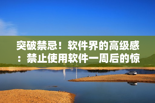 突破禁忌！軟件界的高級感：禁止使用軟件一周后的驚人變化