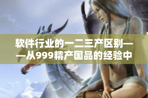 軟件行業(yè)的一二三產(chǎn)區(qū)別——從999精產(chǎn)國品的經(jīng)驗中學(xué)習(xí)