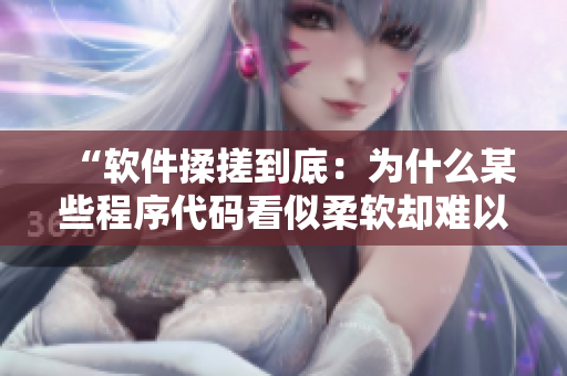 “軟件揉搓到底：為什么某些程序代碼看似柔軟卻難以改變？”