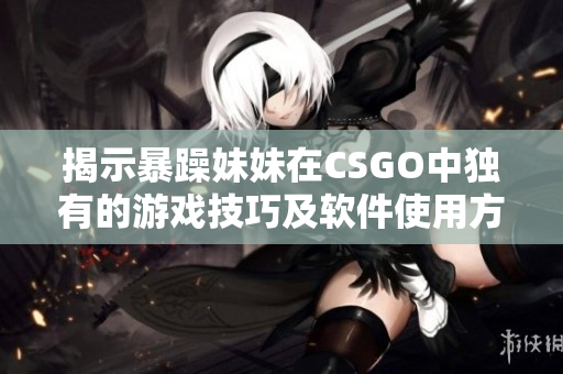 揭示暴躁妹妹在CSGO中獨有的游戲技巧及軟件使用方法