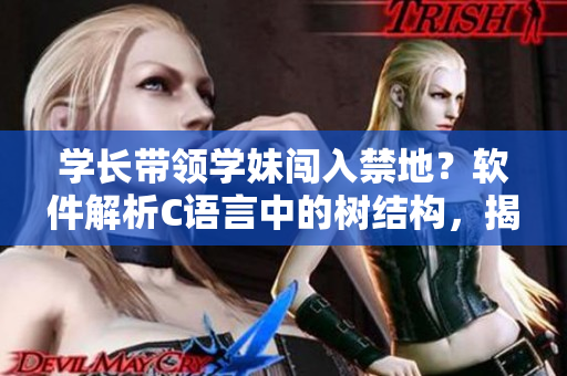 學(xué)長(zhǎng)帶領(lǐng)學(xué)妹闖入禁地？軟件解析C語(yǔ)言中的樹(shù)結(jié)構(gòu)，揭露樹(shù)林內(nèi)的秘密
