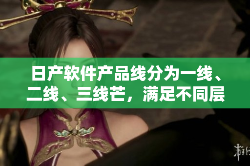 日產(chǎn)軟件產(chǎn)品線分為一線、二線、三線芒，滿足不同層次客戶需求