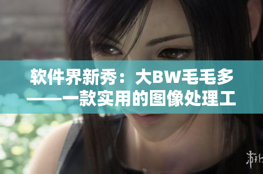 軟件界新秀：大BW毛毛多——一款實用的圖像處理工具