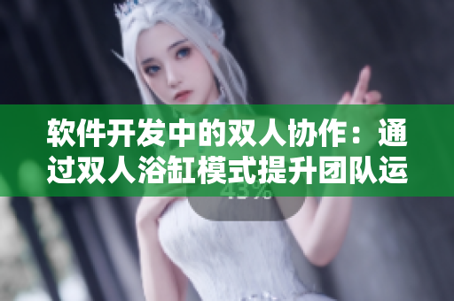 軟件開發(fā)中的雙人協作：通過雙人浴缸模式提升團隊運動效率