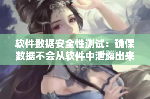 軟件數(shù)據(jù)安全性測(cè)試：確保數(shù)據(jù)不會(huì)從軟件中泄露出來(lái)