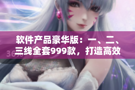 軟件產(chǎn)品豪華版：一、二、三線全套999款，打造高效辦公新體驗(yàn)
