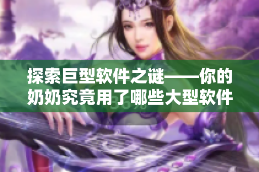 探索巨型軟件之謎——你的奶奶究竟用了哪些大型軟件？