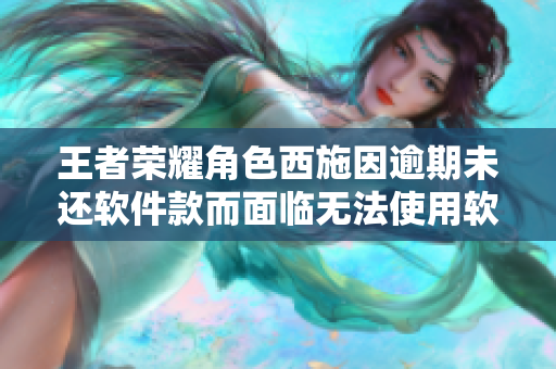 王者榮耀角色西施因逾期未還軟件款而面臨無法使用軟件的尷尬局面