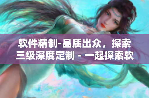 軟件精制-品質(zhì)出眾，探索三級(jí)深度定制 - 一起探索軟件行業(yè)的海角精品