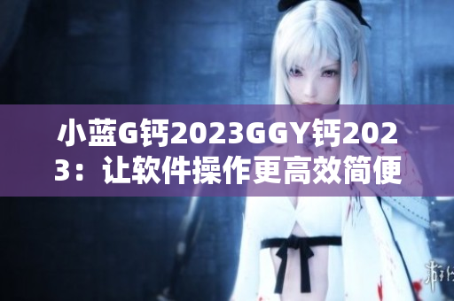小藍(lán)G鈣2023GGY鈣2023：讓軟件操作更高效簡便