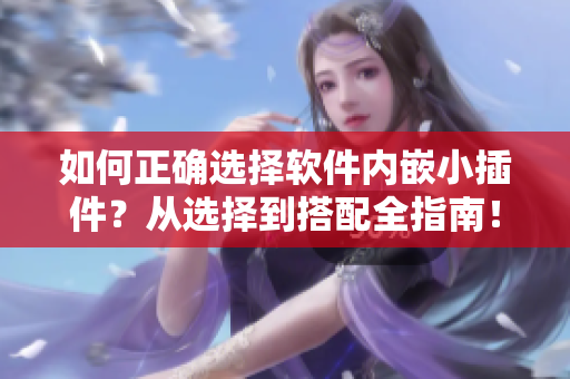 如何正確選擇軟件內(nèi)嵌小插件？從選擇到搭配全指南！