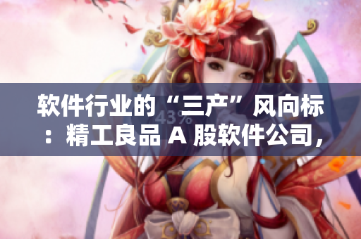 軟件行業(yè)的“三產(chǎn)”風(fēng)向標(biāo)：精工良品 A 股軟件公司，研發(fā)實(shí)力草莓區(qū)？