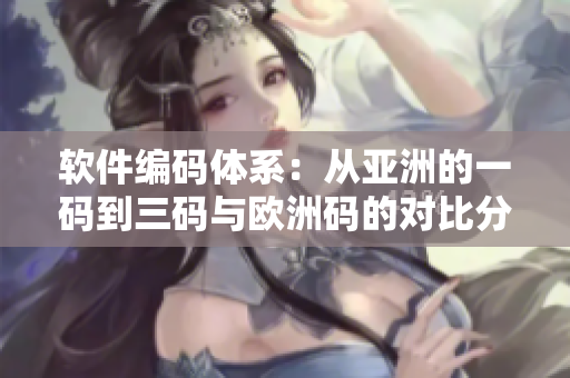 軟件編碼體系：從亞洲的一碼到三碼與歐洲碼的對比分析