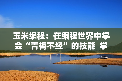玉米編程：在編程世界中學(xué)會(huì)“青梅不經(jīng)”的技能  學(xué)習(xí)軟件開發(fā)的秘訣