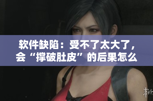 軟件缺陷：受不了太大了，會(huì)“撐破肚皮”的后果怎么辦？