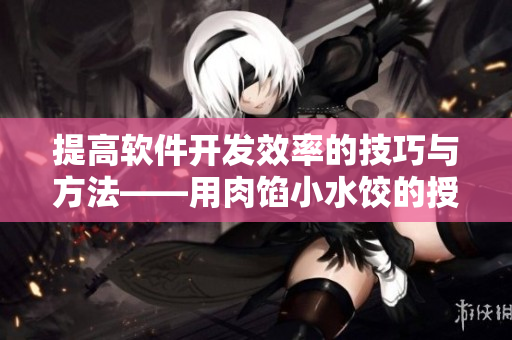 提高軟件開發(fā)效率的技巧與方法——用肉餡小水餃的授課方式讓你輕松掌握！