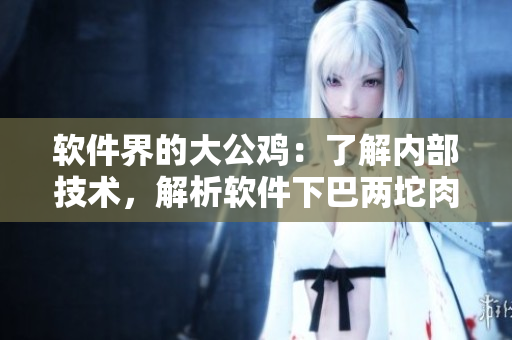 軟件界的大公雞：了解內(nèi)部技術(shù)，解析軟件下巴兩坨肉的奧秘