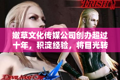 嫩草文化傳媒公司創(chuàng)辦超過十年，積淀經(jīng)驗，將目光轉(zhuǎn)向軟件市場